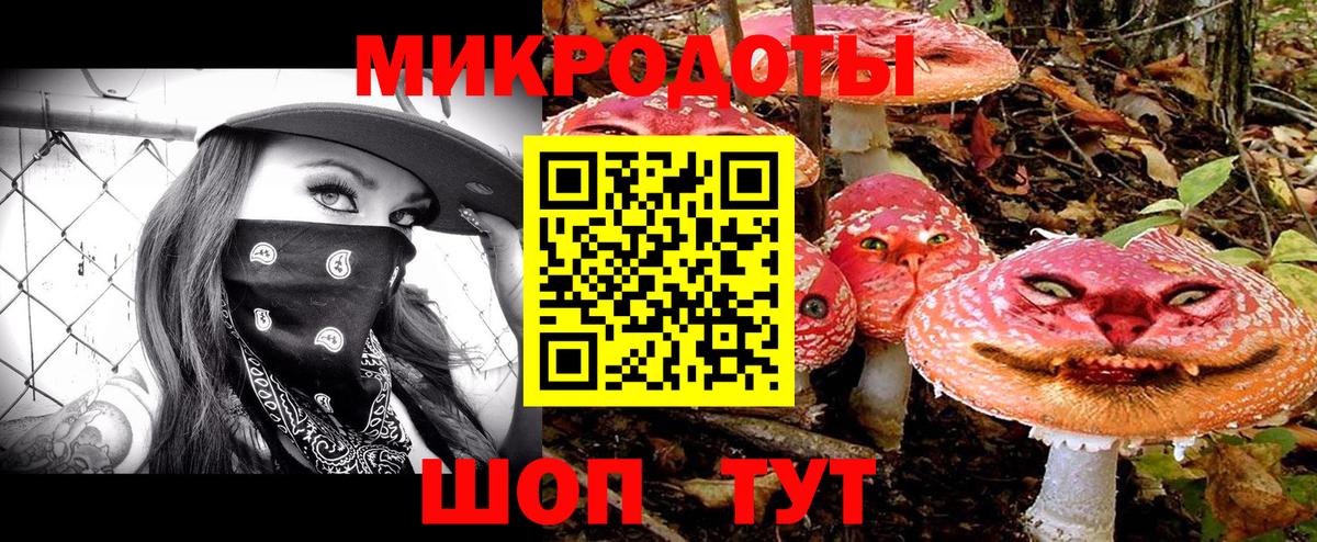 Галлюциногенные грибы Magic Shrooms  Галлюциногенные грибы прущие грибы  сколько стоит  Вход с VPN  Черняховск 