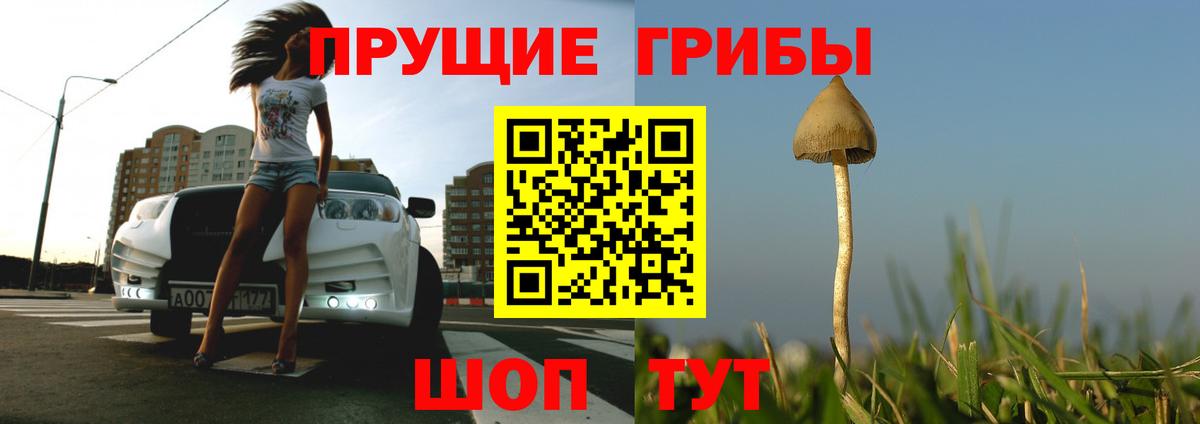 Галлюциногенные грибы MAGIC MUSHROOMS Черняховск